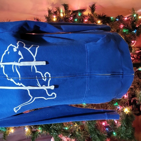 Victoria's Secret PINK Detroit Lions Hoodie - Picture 3 of 13